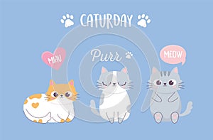 Cute cats paw bubbles phrase cartoon animal funny character