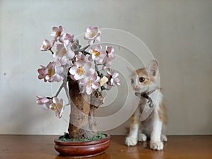 Cute cats playing on with plastic flowers