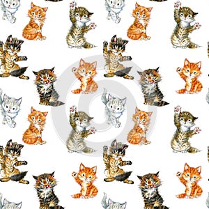 Cute Cats seamless pattern. watercolor funny kittens illustration