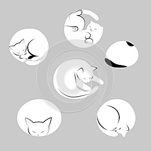 Cute cats shapes