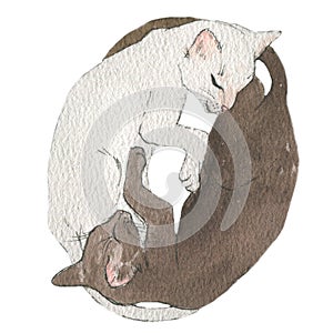 The cute cats is sleeping together. White and brown cat in cozy style. Beige colors