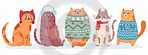 Cute cats in sweater. Happy fat kittens for new year and christmas vector banner. Xmas domestic kitty in scarf