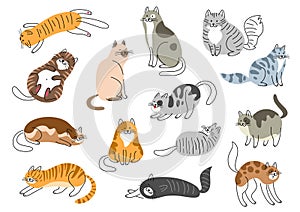 Cute cats vector set