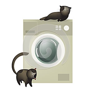 Cute cats with washing machine