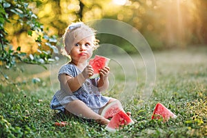 Cute Caucasian baby girl eating ripe red watermelon in park. Funny child kid sitting on ground with fresh fruit outdoors.