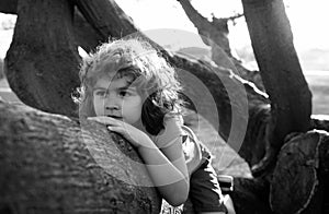 Cute caucasian kid boy happily lying in a tree hugging a big branch. Child climbing a tree.