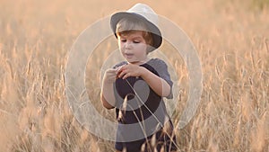 Cute caucasian little boy 2-3 years old in a straw hat walking in a wheat field on a summer day at sunset