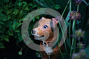 Cute ceramic dog figurine. spring garden after rain with garden statue. dark natural background, soft focus