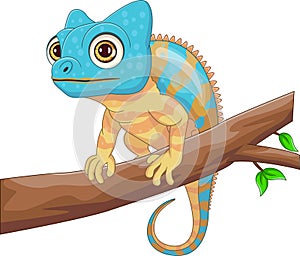 cute chameleon on tree cartoon