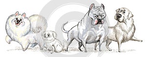 Cute character funny cartoon different white dogs isolated illustration