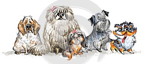 Cute character funny sitting cartoon different dogs isolated illustration