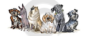 Cute character group funny cartoon different dogs isolated illustration