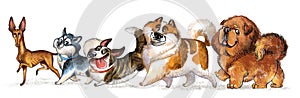 Cute character running funny cartoon different dogs isolated illustration