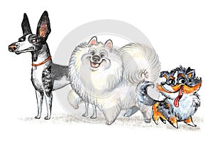 Cute character three funny cartoon different dogs isolated illustration