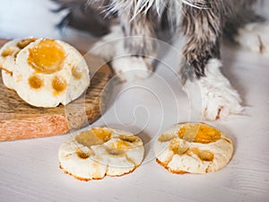 Cute, charming kitten on a white background