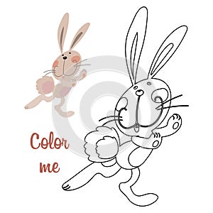 Cute cheerful bunny, animal illustration and sketch. Design for children's coloring book, coloring page.