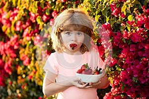 Cute cheerful child eats strawberries. The schoolboy is eating healthy food. Happy childhood concept. Happy little