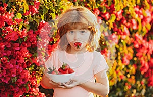 Cute cheerful child eats strawberries. The schoolboy is eating healthy food. Happy childhood concept. Happy little