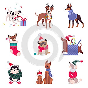 Cute Cheerful Dogs with Christmas Symbols Set, Xmas and New Year, Happy Winter Holidays Concept Cartoon Style Vector