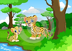 Cute cheetah cartoon in the forest