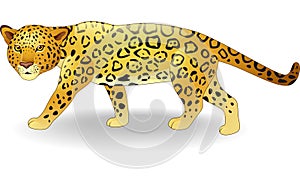 Cute cheetah cartoon