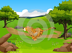 Cute cheetah cartoon running in the jungle