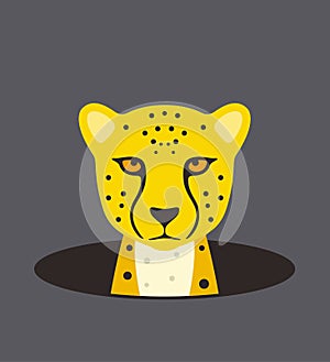 Cute cheetah on the hole, watching, vector illustration