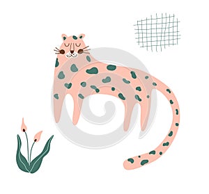 Cute cheetah print. Pink cheetah isolated animal. Wild cat illustration. Graphic safari big jungle cat