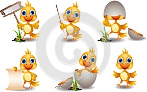 Cute chick cartoon collection