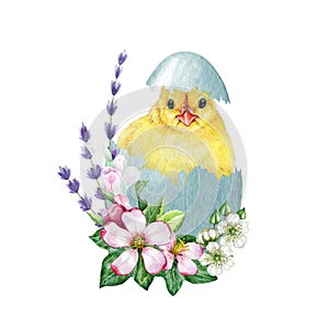 Cute chick in cracked egg shell with flower decor. Watercolor painted illustration. Hand drawn small chicken hatched