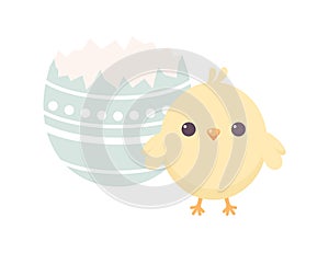 Cute chick standing near a broken Easter egg, isolated on white background. Vector illustration