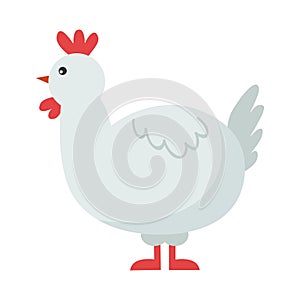 Cute chicken cartoon bird.