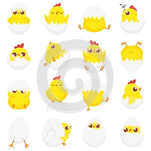 Cute chicken in egg. Easter baby chick, newborn chickens in eggshell and farm kids chicks isolated cartoon vector
