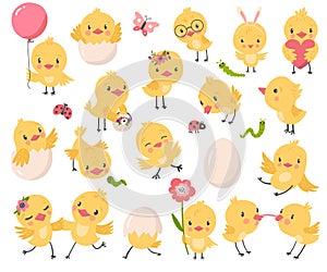 Cute chicken set, Easter vector illustration with funny birds
