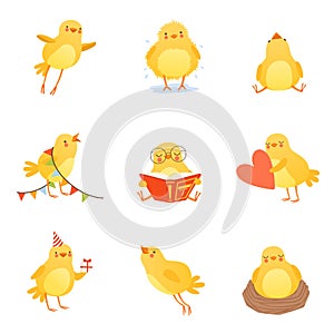 Cute chicken in various situations. Trying to flight up, reading, sleeping in nest, shaking off water, going to birthday
