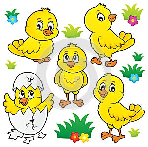 Cute chickens topic set 1