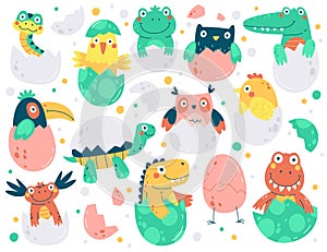 Cute chicks and reptile hatched from an egg flat icons set.