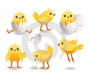 Cute chicks set. Little cute yellow bird in cracked egg. Baby of chicken. Farm vector illustration