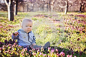 Cute child, baby boy, sitting on the grass in blooming garden