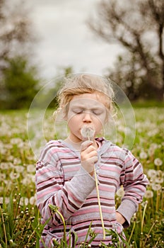 Cute child blowing dandelion flower