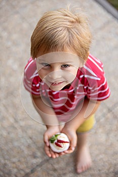 Cute child, boy, eating small cupcake of Pavlova desert, light egg and sugar desert with cream and strawberries