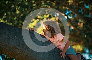 Cute Child boy hanging from branch of tree.