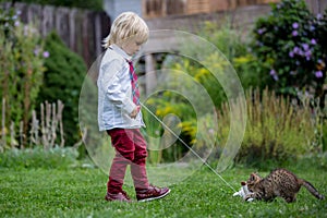 Cute child, boy, playing with little brown kitten in the park