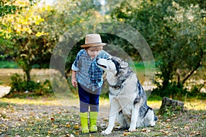 Cute child with dog walking in the field on a sunny summer day. Child and dog tourists on beautiful nature background