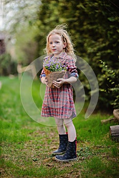 Cute child girl with basket of bluebells in spring garden