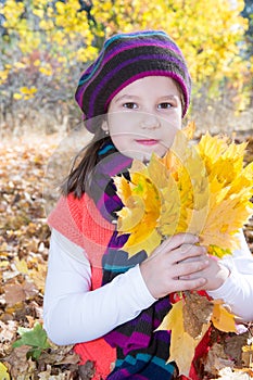 Cute child girl playing with fallen leaves in autumn
