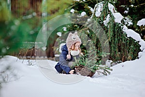 Cute child girl playing in winter snowy garden with basket of fir branches