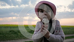 Cute child girl portrait in park play blow dandelion slow motion, female child blowing in blowball flower, happy