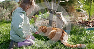 Cute child girl sitting on lawn and feeding cats in spring backyard garden