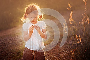 Cute child girl with wild flower on summer sunset field